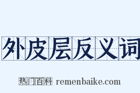 外皮层反义词是什么意思的图片